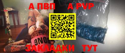 хмурый Тара