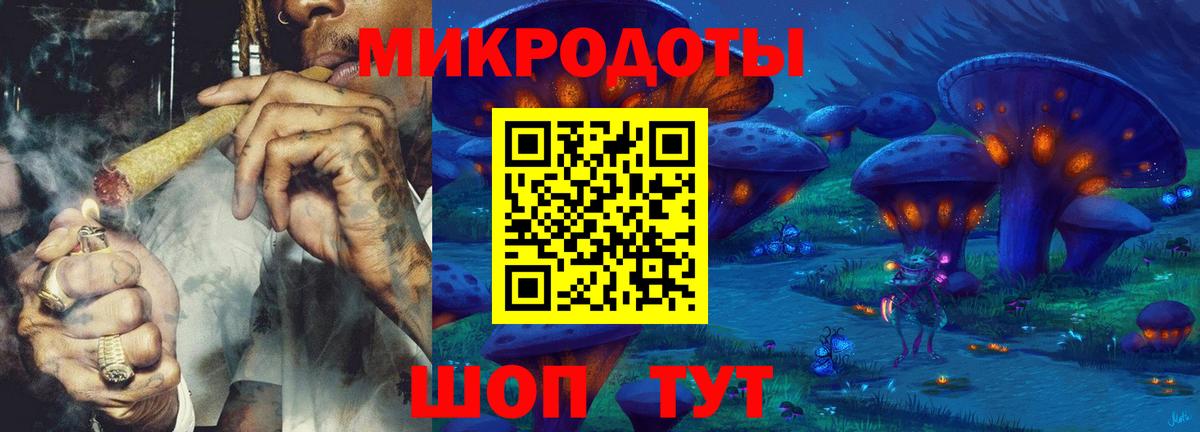 Галлюциногенные грибы Psilocybine cubensis  Псилоцибиновые грибы мицелий  Унеча  цены   Вход с VPN 